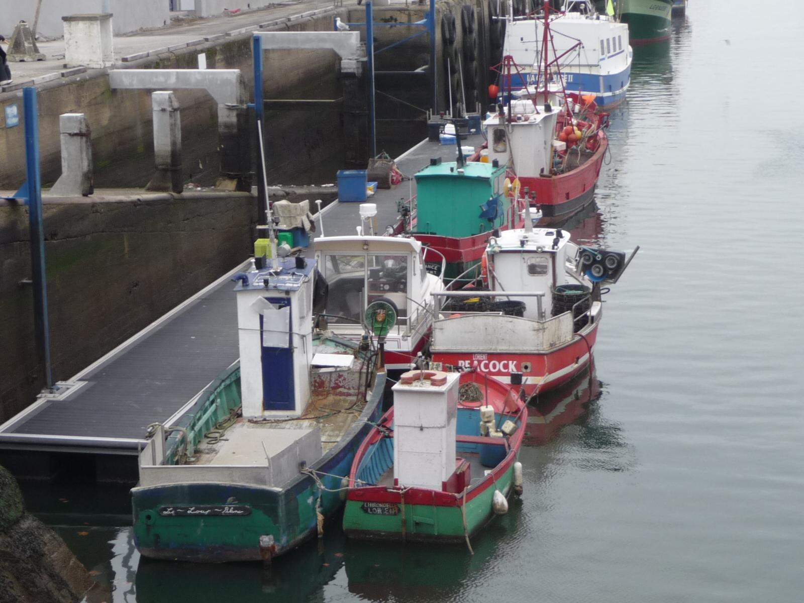 Flottille port lorient b